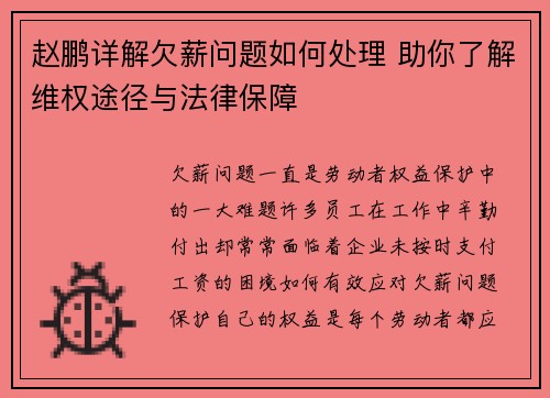 赵鹏详解欠薪问题如何处理 助你了解维权途径与法律保障 赵鹏详解欠薪问题如何处理 助你了解维权途径与法律保障
