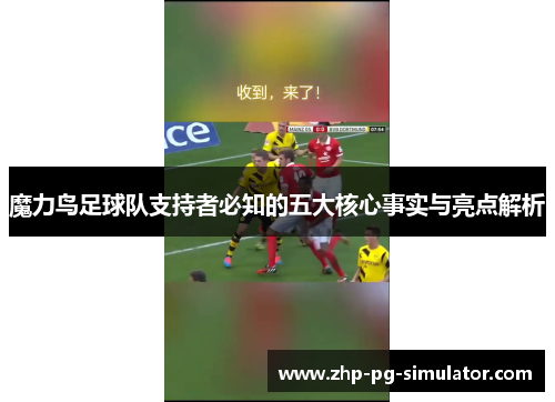 魔力鸟足球队支持者必知的五大核心事实与亮点解析 魔力鸟足球队支持者必知的五大核心事实与亮点解析