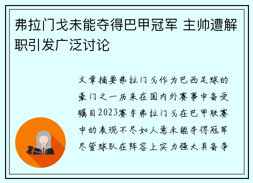 弗拉门戈未能夺得巴甲冠军 主帅遭解职引发广泛讨论 弗拉门戈未能夺得巴甲冠军 主帅遭解职引发广泛讨论