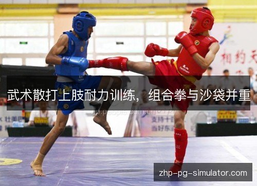 武术散打上肢耐力训练,组合拳与沙袋并重 武术散打上肢耐力训练,组合拳与沙袋并重